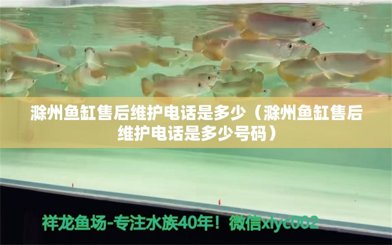 滁州鱼缸售后维护电话是多少（滁州鱼缸售后维护电话是多少号码）