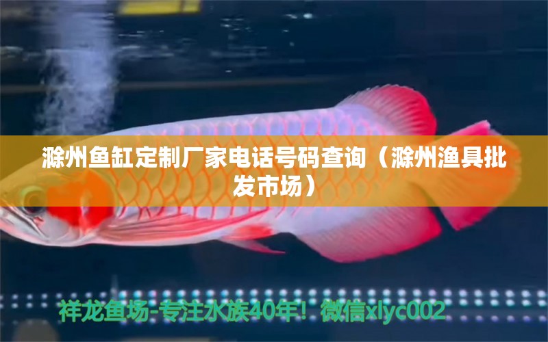 滁州鱼缸定制厂家电话号码查询（滁州渔具批发市场）
