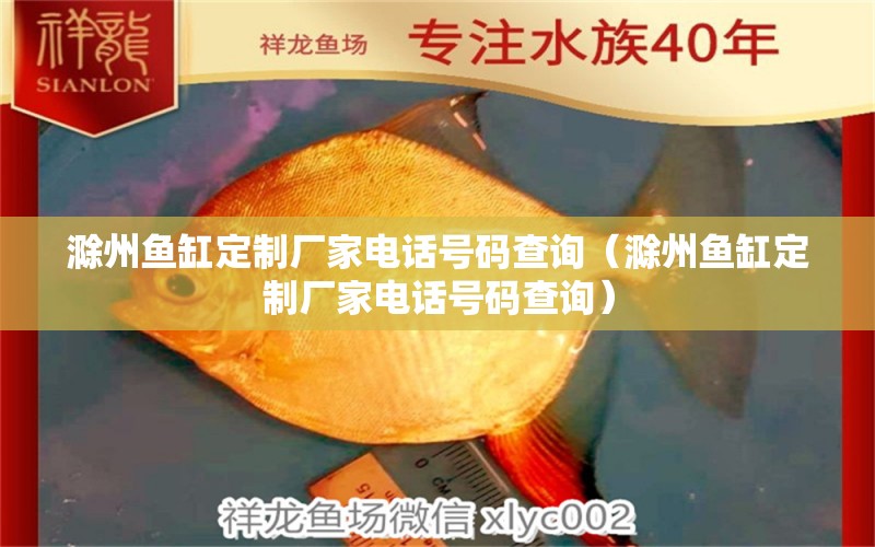 滁州鱼缸定制厂家电话号码查询（滁州鱼缸定制厂家电话号码查询）