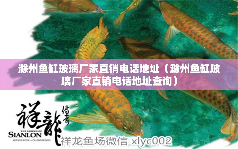 滁州鱼缸玻璃厂家直销电话地址（滁州鱼缸玻璃厂家直销电话地址查询） 龙鱼百科