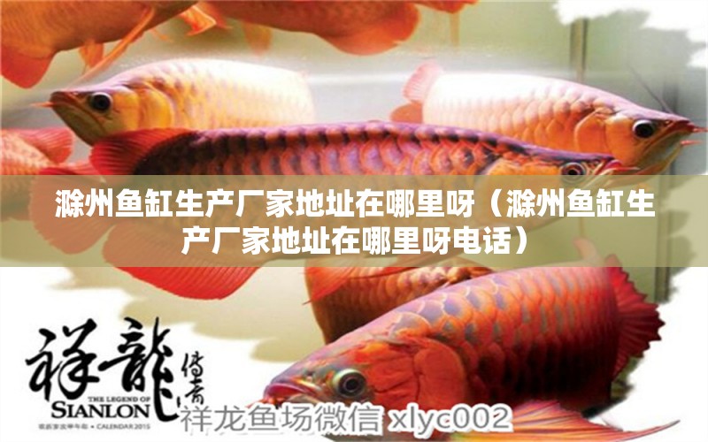 滁州鱼缸生产厂家地址在哪里呀（滁州鱼缸生产厂家地址在哪里呀电话）