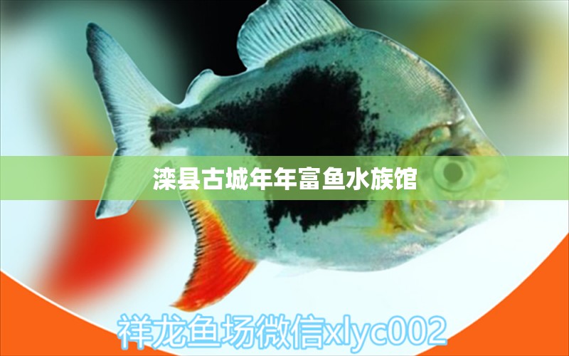 滦县古城年年富鱼水族馆