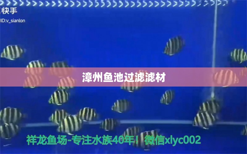 漳州鱼池过滤滤材 广州水族器材滤材批发市场
