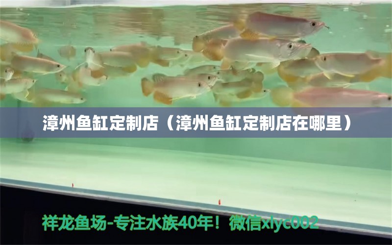 漳州鱼缸定制店（漳州鱼缸定制店在哪里） 其他品牌鱼缸