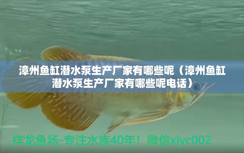 漳州鱼缸潜水泵生产厂家有哪些呢（漳州鱼缸潜水泵生产厂家有哪些呢电话） 祥龙水族医院