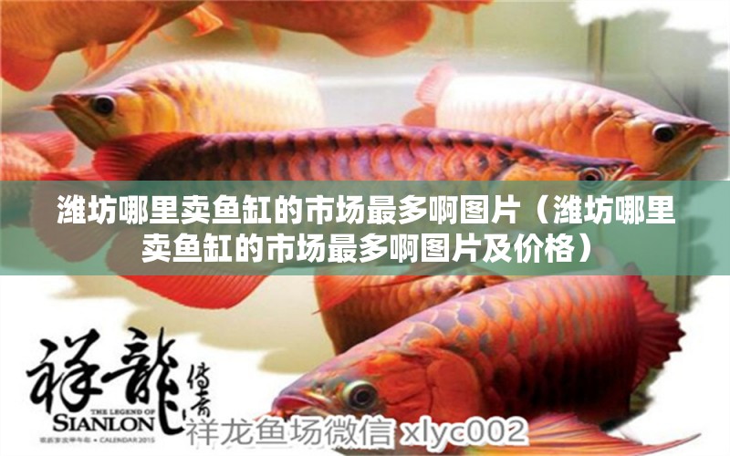 潍坊哪里卖鱼缸的市场最多啊图片（潍坊哪里卖鱼缸的市场最多啊图片及价格）
