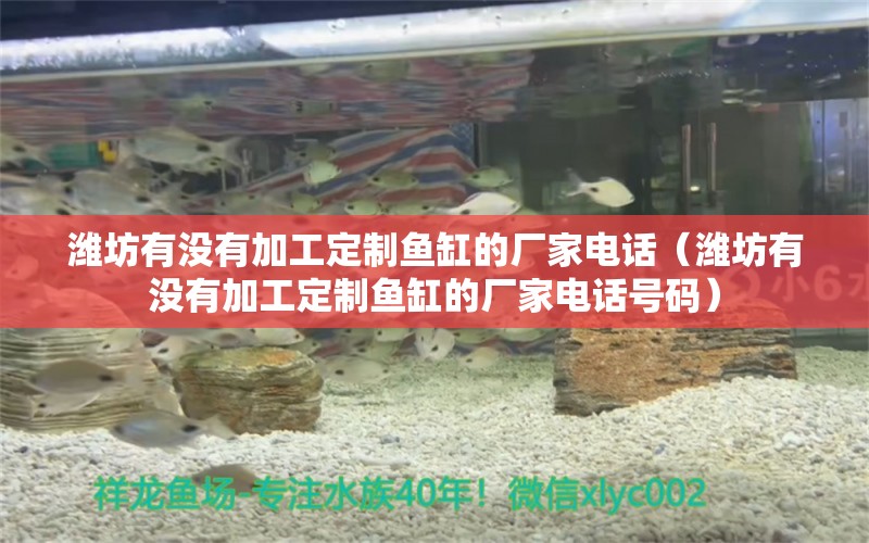 潍坊有没有加工定制鱼缸的厂家电话（潍坊有没有加工定制鱼缸的厂家电话号码） 祥龙水族医院