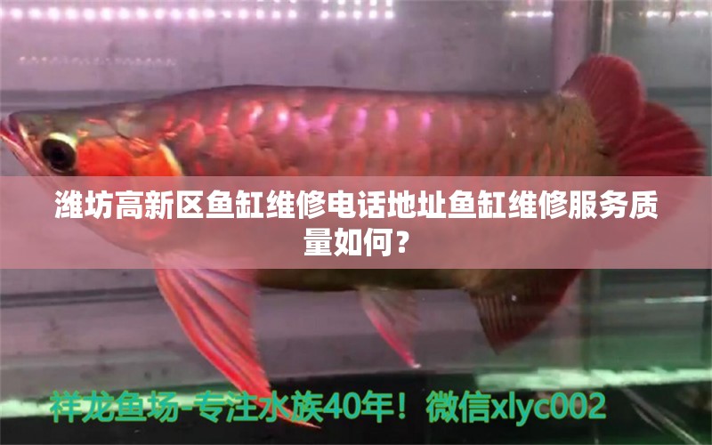 潍坊高新区鱼缸维修电话地址鱼缸维修服务质量如何？