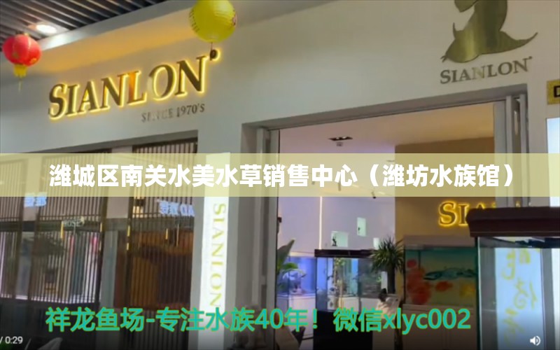 潍城区南关水美水草销售中心（潍坊水族馆） 水草