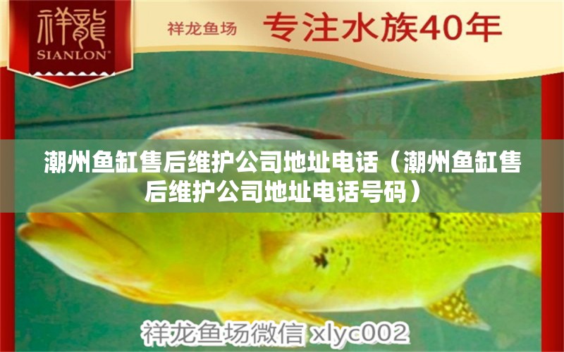 潮州鱼缸售后维护公司地址电话（潮州鱼缸售后维护公司地址电话号码） 其他品牌鱼缸