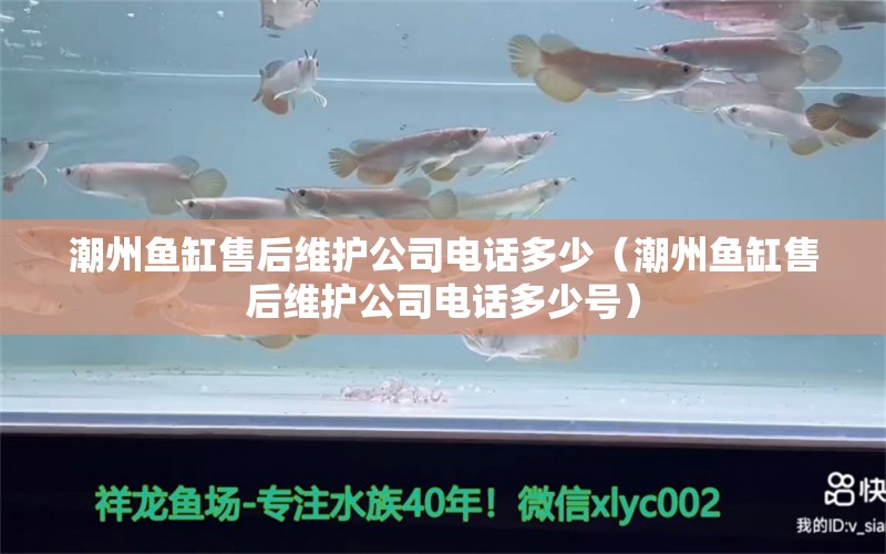 潮州鱼缸售后维护公司电话多少（潮州鱼缸售后维护公司电话多少号） 其他品牌鱼缸