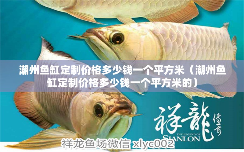 潮州鱼缸定制价格多少钱一个平方米（潮州鱼缸定制价格多少钱一个平方米的） 观赏鱼市场（混养鱼）