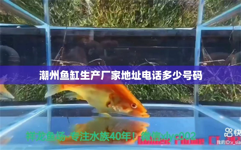 潮州鱼缸生产厂家地址电话多少号码 观赏鱼