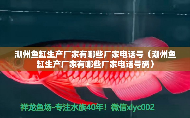 潮州鱼缸生产厂家有哪些厂家电话号（潮州鱼缸生产厂家有哪些厂家电话号码）