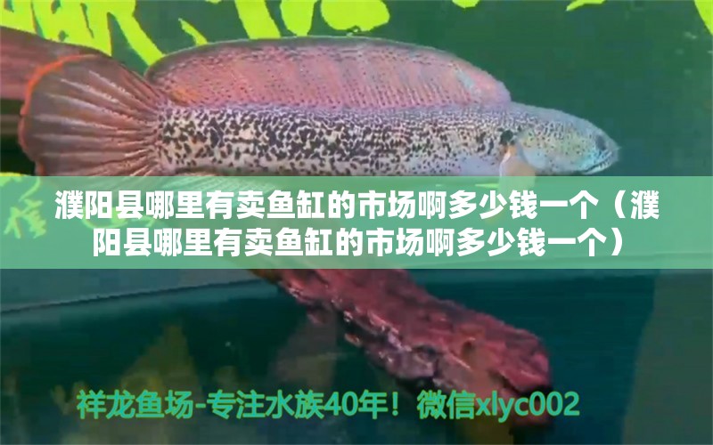 濮阳县哪里有卖鱼缸的市场啊多少钱一个（濮阳县哪里有卖鱼缸的市场啊多少钱一个）