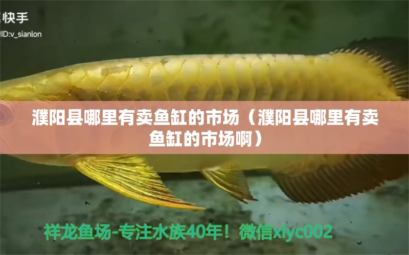濮阳县哪里有卖鱼缸的市场（濮阳县哪里有卖鱼缸的市场啊）