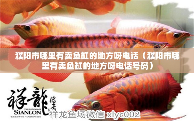 濮阳市哪里有卖鱼缸的地方呀电话（濮阳市哪里有卖鱼缸的地方呀电话号码） 祥龙水族医院