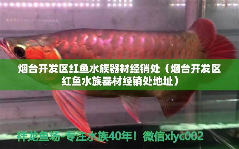 烟台开发区红鱼水族器材经销处（烟台开发区红鱼水族器材经销处地址）