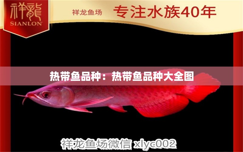 热带鱼品种：热带鱼品种大全图