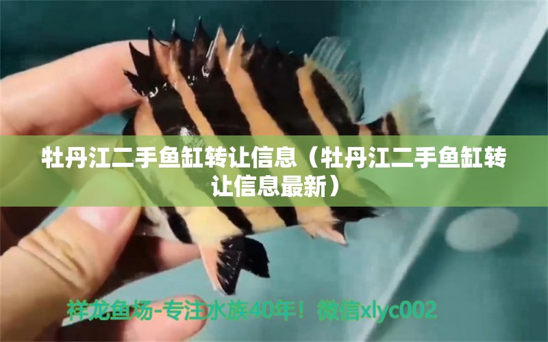 牡丹江二手鱼缸转让信息（牡丹江二手鱼缸转让信息最新） 广州龙鱼批发市场
