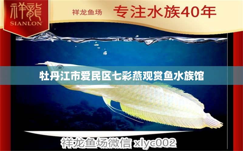 牡丹江市爱民区七彩燕观赏鱼水族馆
