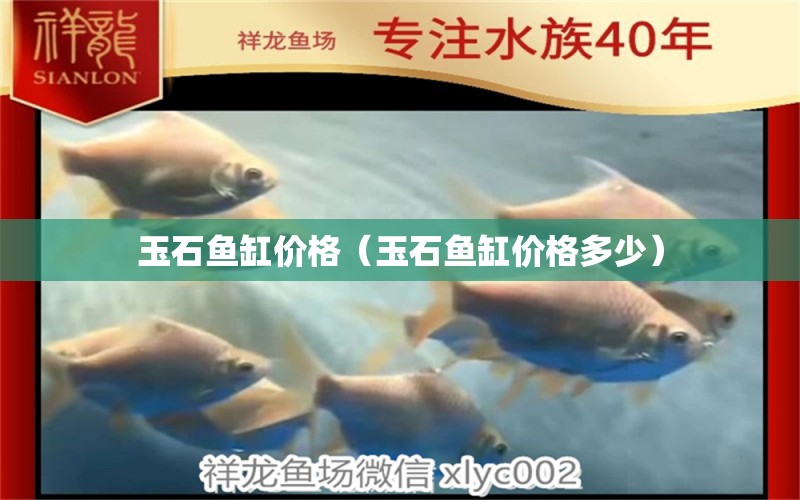 玉石鱼缸价格（玉石鱼缸价格多少） 广州龙鱼批发市场