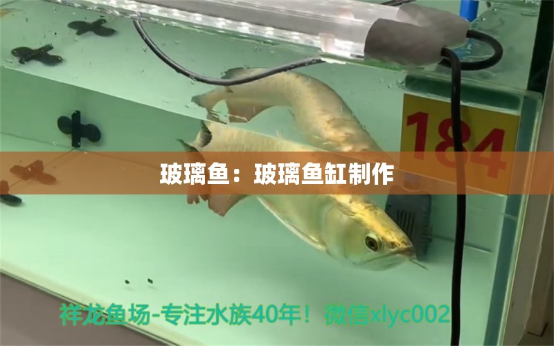 玻璃鱼：玻璃鱼缸制作 祥龙龙鱼鱼粮