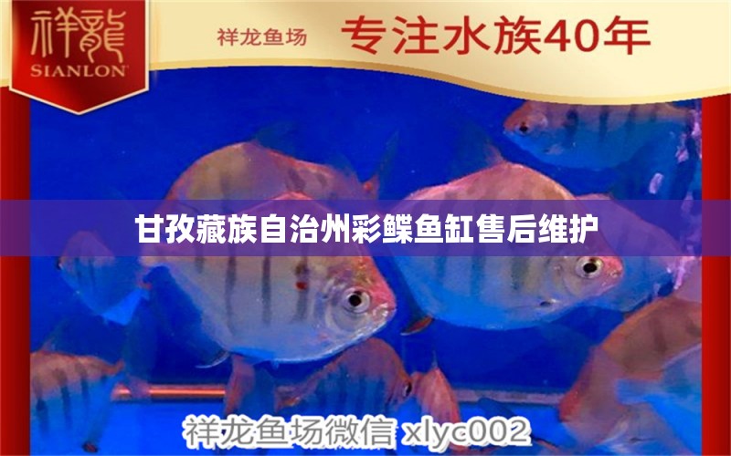 甘孜藏族自治州彩鲽鱼缸售后维护 彩鲽鱼缸（彩蝶鱼缸）