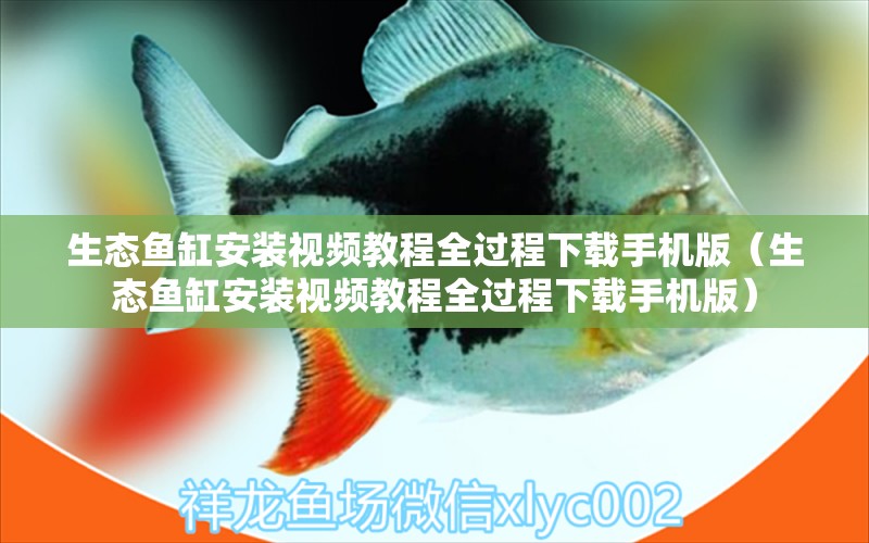 生态鱼缸安装视频教程全过程下载手机版（生态鱼缸安装视频教程全过程下载手机版） 观赏鱼市场（混养鱼）