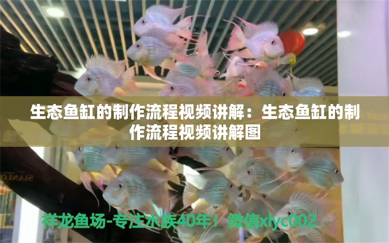 生态鱼缸的制作流程视频讲解：生态鱼缸的制作流程视频讲解图 广州水族批发市场
