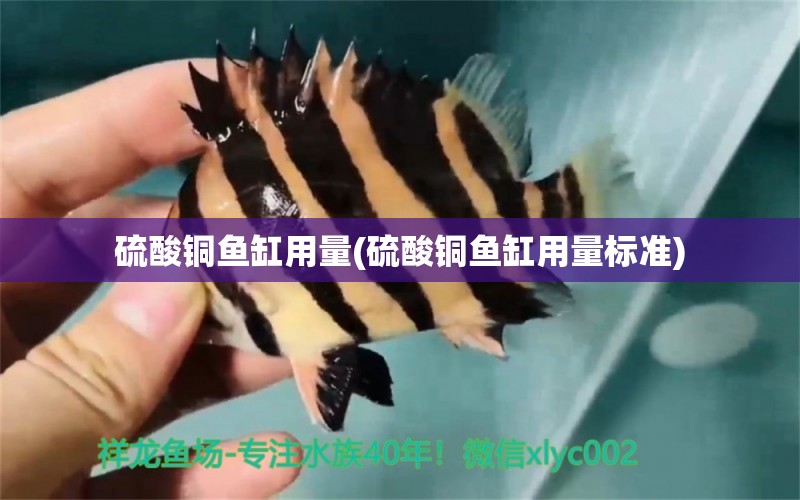 硫酸铜鱼缸用量(硫酸铜鱼缸用量标准) 泰国虎鱼（泰虎）
