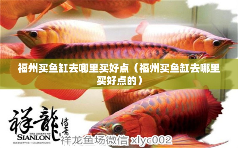 福州买鱼缸去哪里买好点（福州买鱼缸去哪里买好点的） 观赏鱼市场（混养鱼）