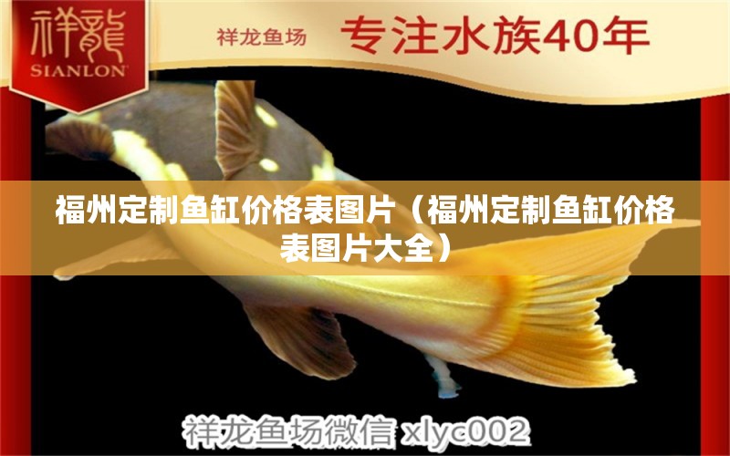 福州定制鱼缸价格表图片（福州定制鱼缸价格表图片大全） 祥龙鱼场
