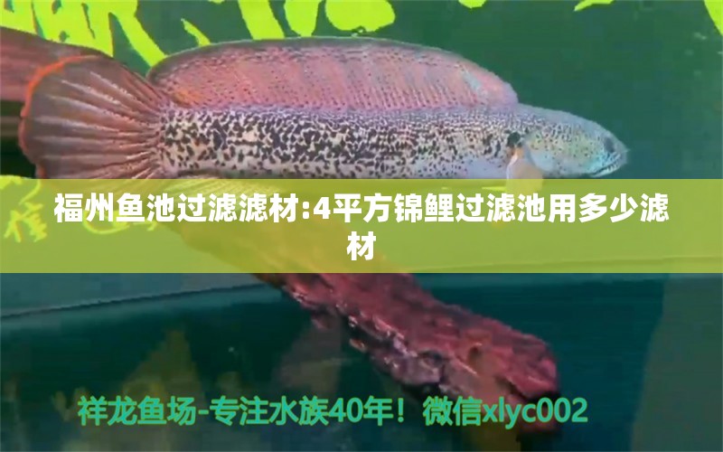 福州鱼池过滤滤材:4平方锦鲤过滤池用多少滤材 广州水族器材滤材批发市场