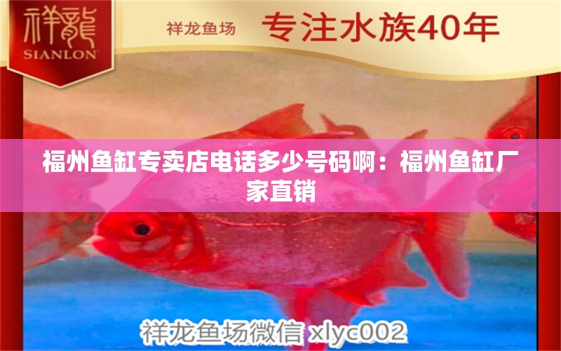 福州鱼缸专卖店电话多少号码啊：福州鱼缸厂家直销 观赏鱼市场