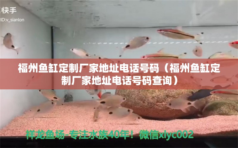 福州鱼缸定制厂家地址电话号码（福州鱼缸定制厂家地址电话号码查询）