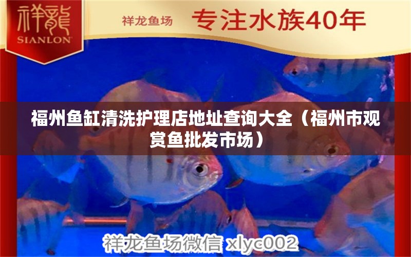 福州鱼缸清洗护理店地址查询大全（福州市观赏鱼批发市场） 观赏鱼批发