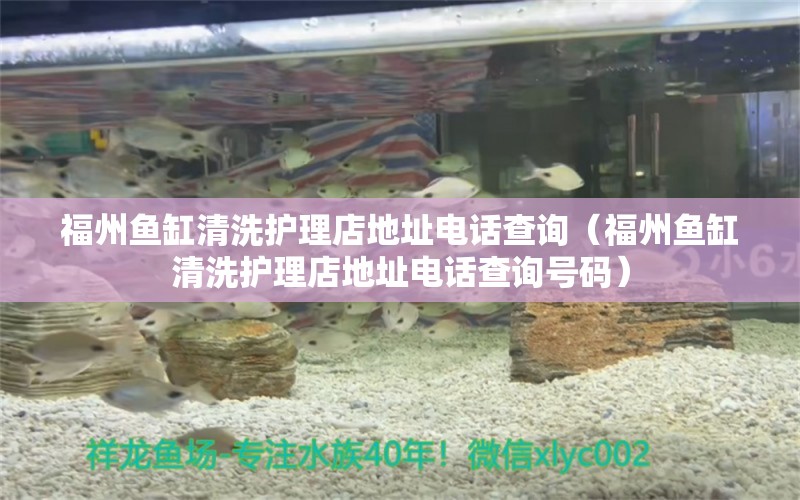 福州鱼缸清洗护理店地址电话查询（福州鱼缸清洗护理店地址电话查询号码） 观赏鱼市场（混养鱼）
