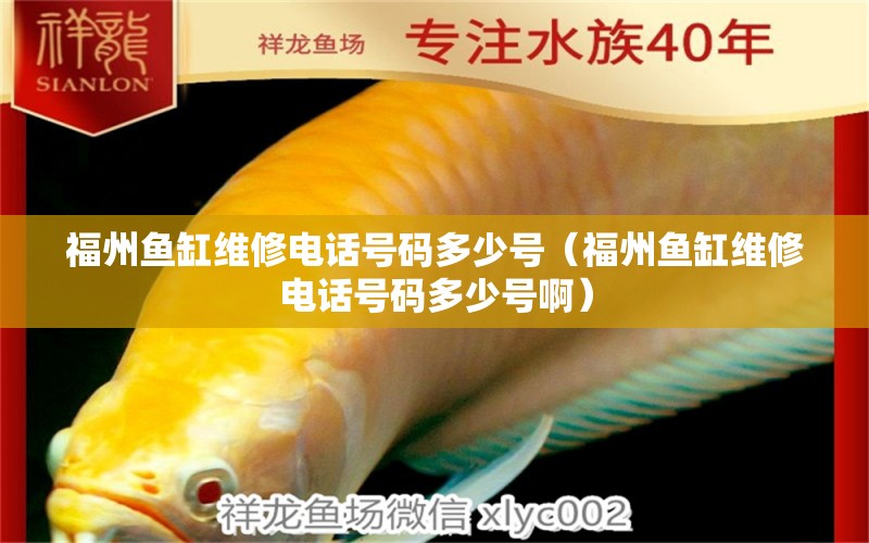 福州鱼缸维修电话号码多少号（福州鱼缸维修电话号码多少号啊） 赛级红龙鱼