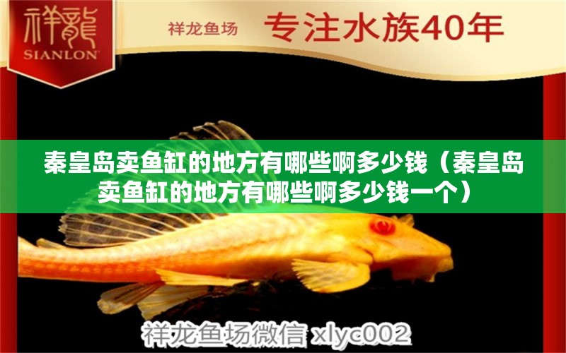 秦皇岛卖鱼缸的地方有哪些啊多少钱（秦皇岛卖鱼缸的地方有哪些啊多少钱一个） 马拉莫宝石鱼