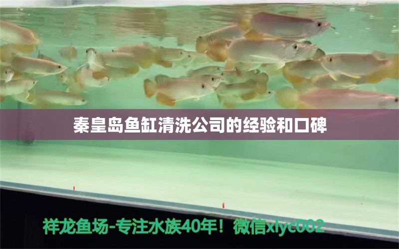 秦皇岛鱼缸清洗公司的经验和口碑