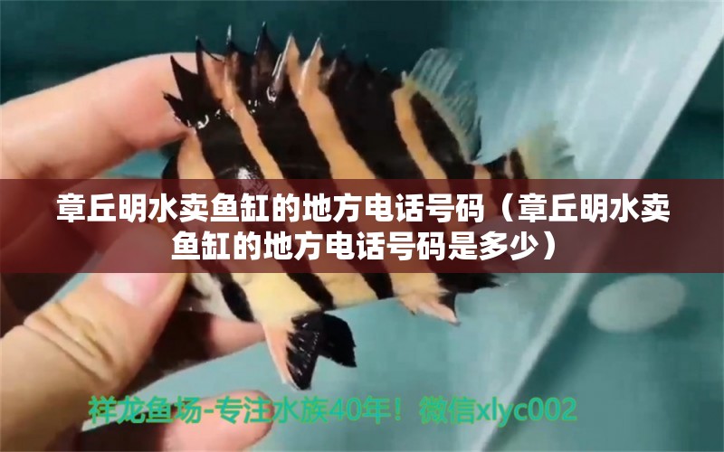 章丘明水卖鱼缸的地方电话号码（章丘明水卖鱼缸的地方电话号码是多少） 广州水族器材滤材批发市场