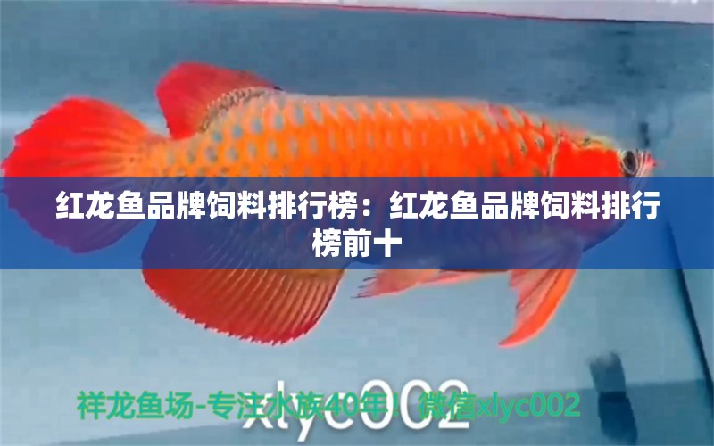 红龙鱼品牌饲料排行榜：红龙鱼品牌饲料排行榜前十 水族维护服务（上门）