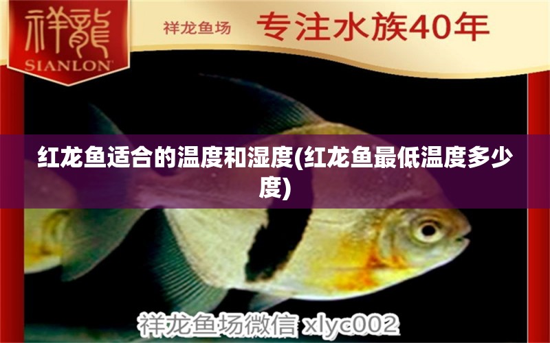 红龙鱼适合的温度和湿度(红龙鱼最低温度多少度)