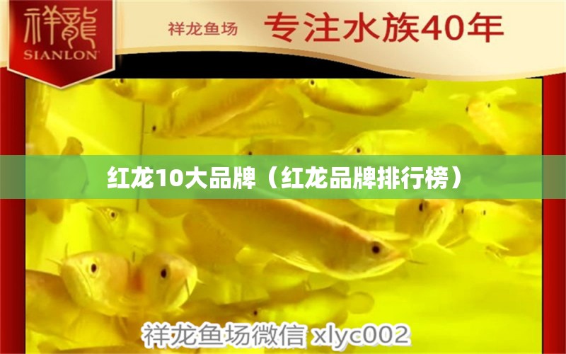 红龙10大品牌（红龙品牌排行榜） 广州龙鱼批发市场