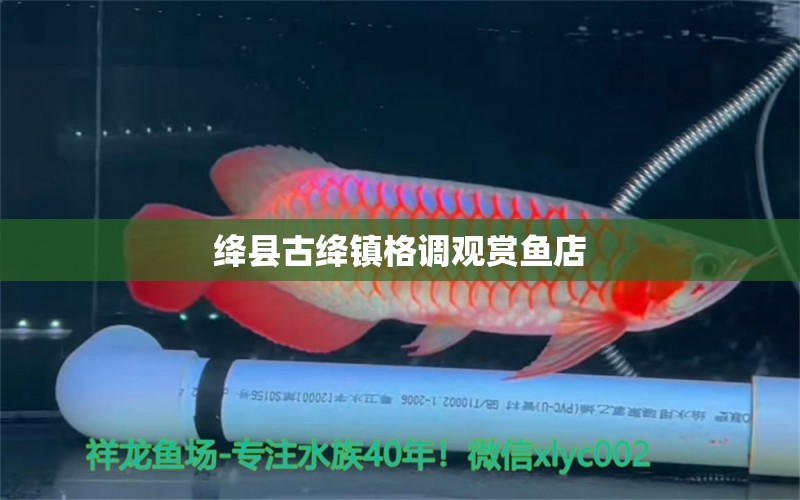 绛县古绛镇格调观赏鱼店 全国水族馆企业名录