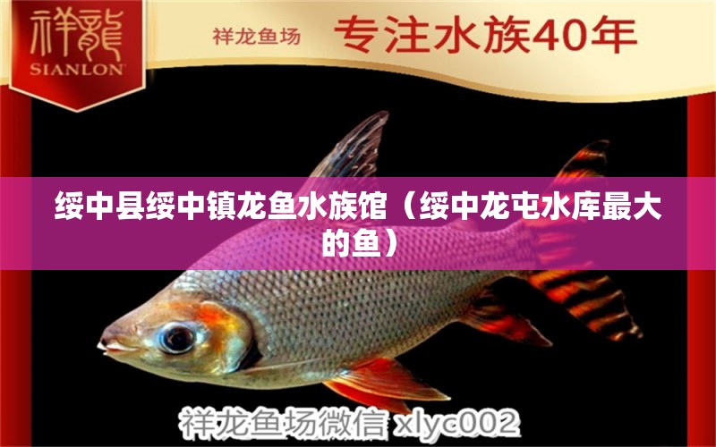 绥中县绥中镇龙鱼水族馆（绥中龙屯水库最大的鱼） 全国水族馆企业名录