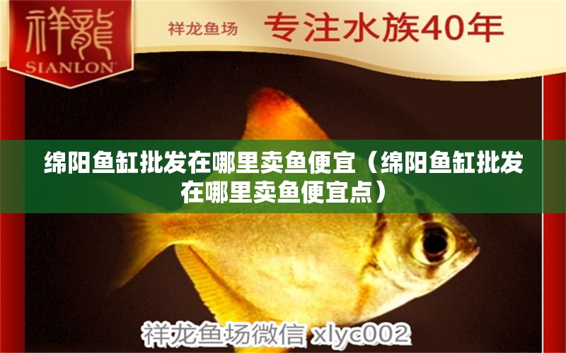 绵阳鱼缸批发在哪里卖鱼便宜（绵阳鱼缸批发在哪里卖鱼便宜点） 硝化细菌
