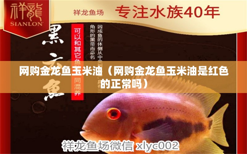 网购金龙鱼玉米油（网购金龙鱼玉米油是红色的正常吗） 网上购买观赏鱼