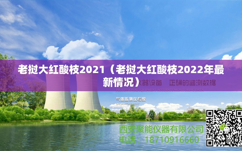 老挝大红酸枝2021（老挝大红酸枝2022年最新情况）